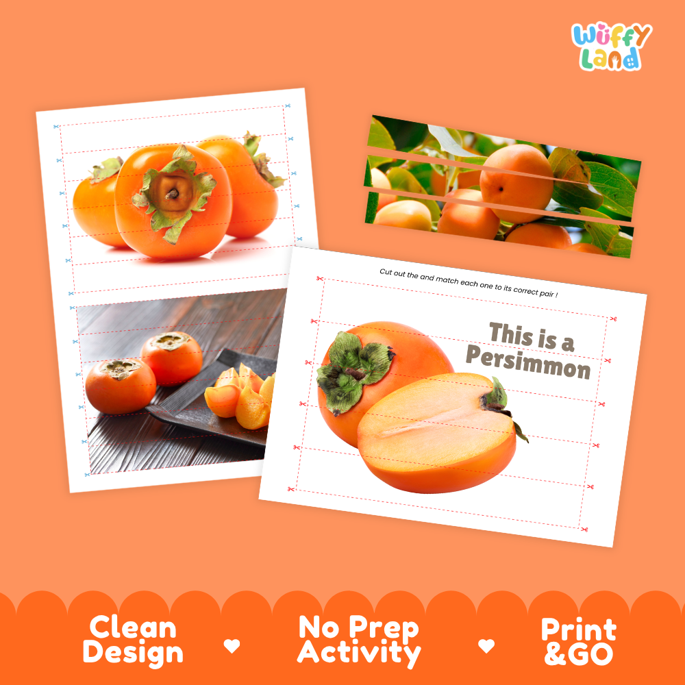 Clean design no prep print and go persimmon cut and match activity printable PDF pack
