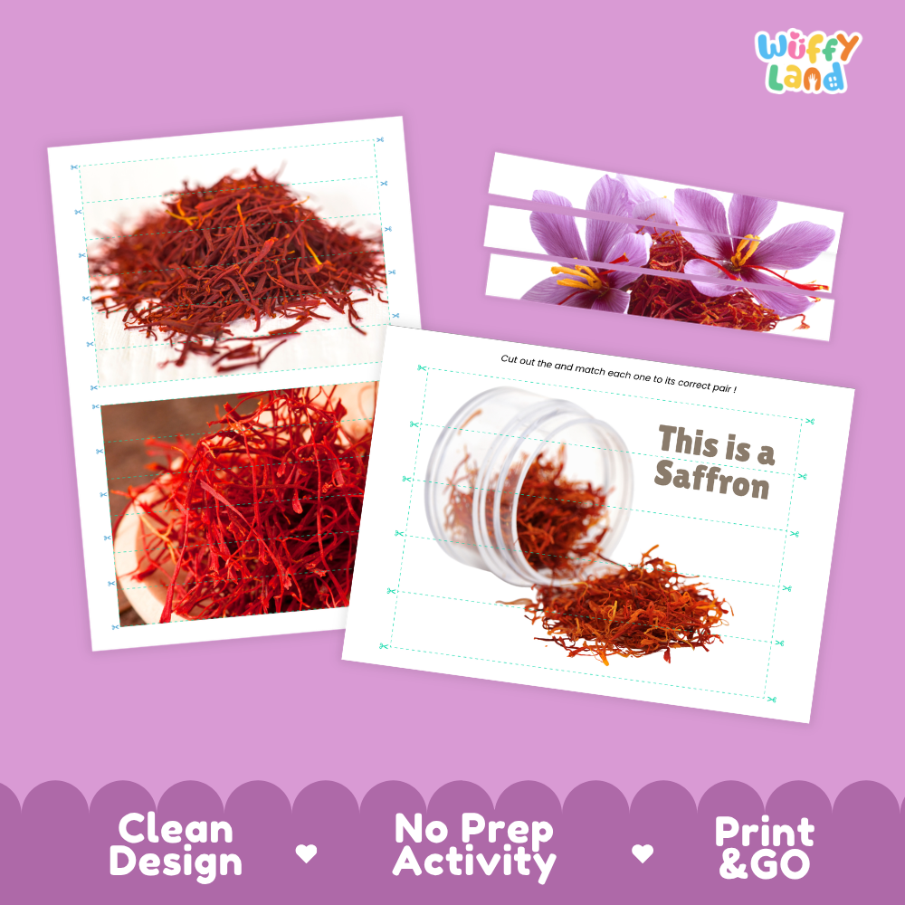 Clean design no prep print and go saffron cut and match activity printable PDF pack