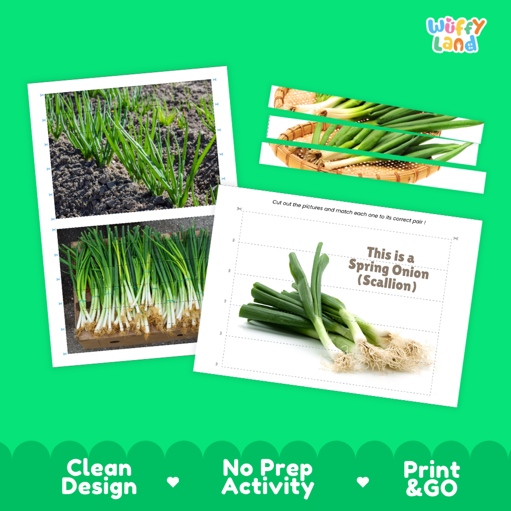 Clean design no prep print and go spring onion cut and match activity printable PDF pack