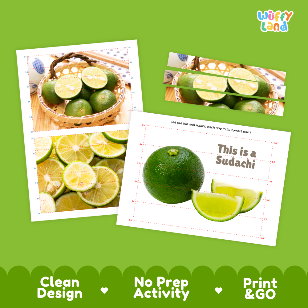 Clean design no prep print and go Sudachi cut and match activity printable PDF pack