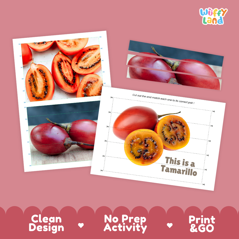 Clean design no prep print and go tamarillo cut and match activity printable PDF pack