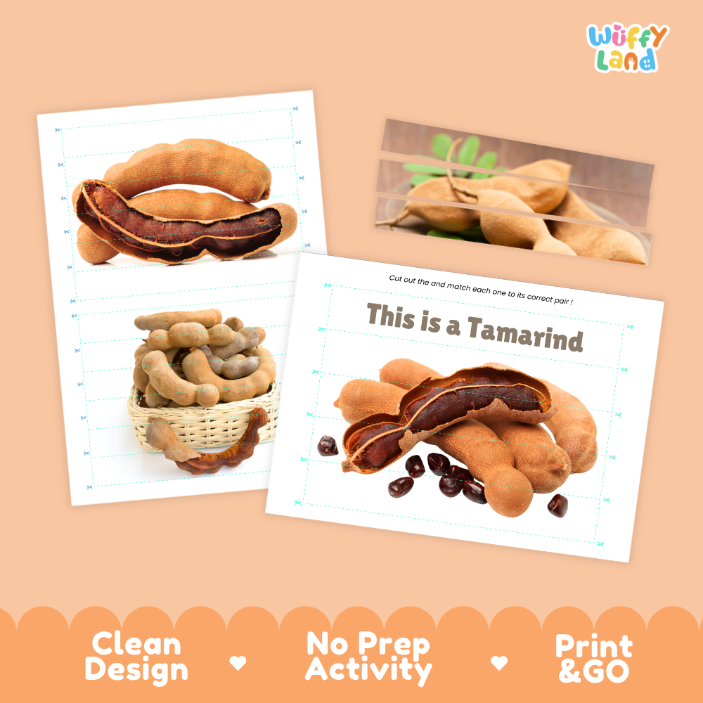 Clean design no prep print and go tamarind cut and match activity printable PDF pack