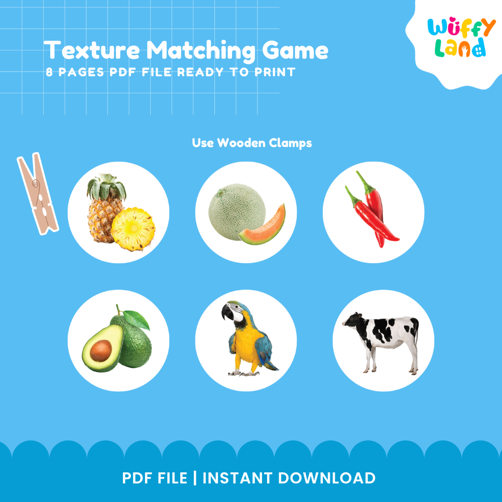 Clean design 8-page texture matching game animals and fruits skin patterns sensory sorting printable PDF pack