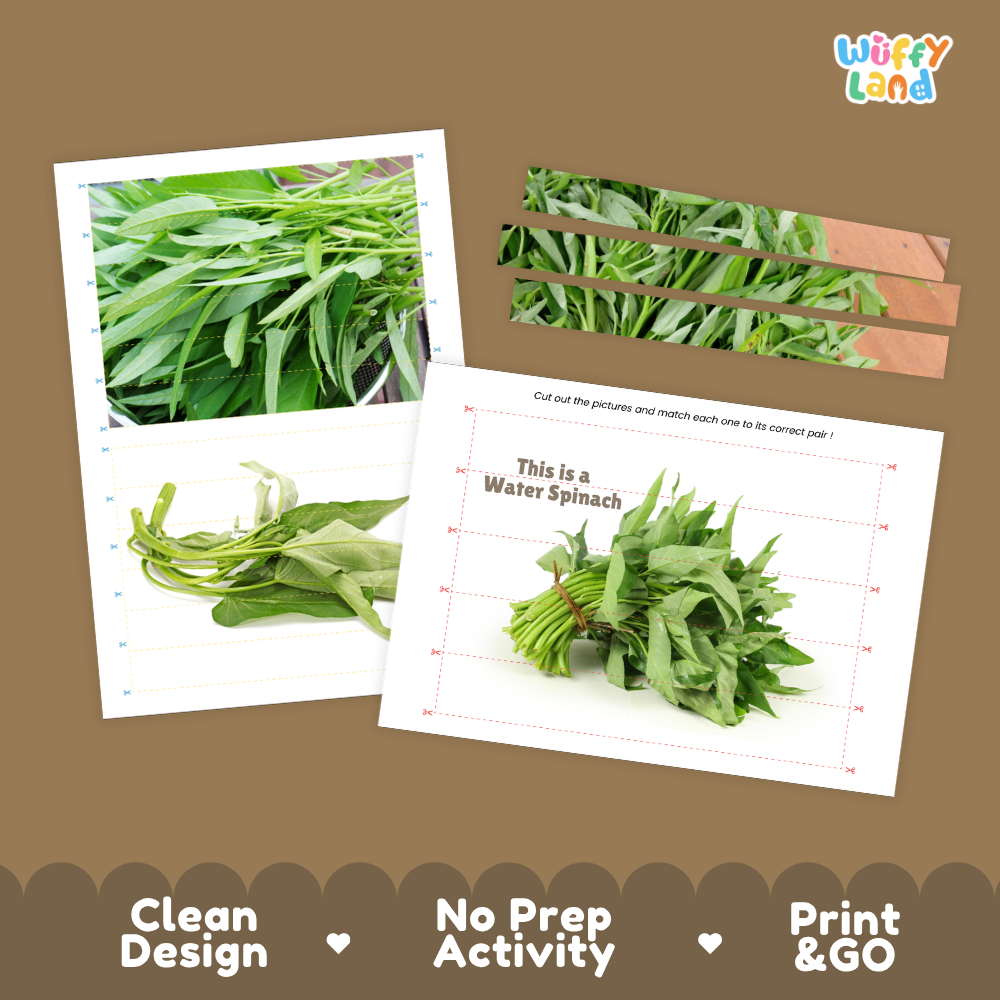 Clean design no prep print and go water spinach cut and match activity printable PDF pack