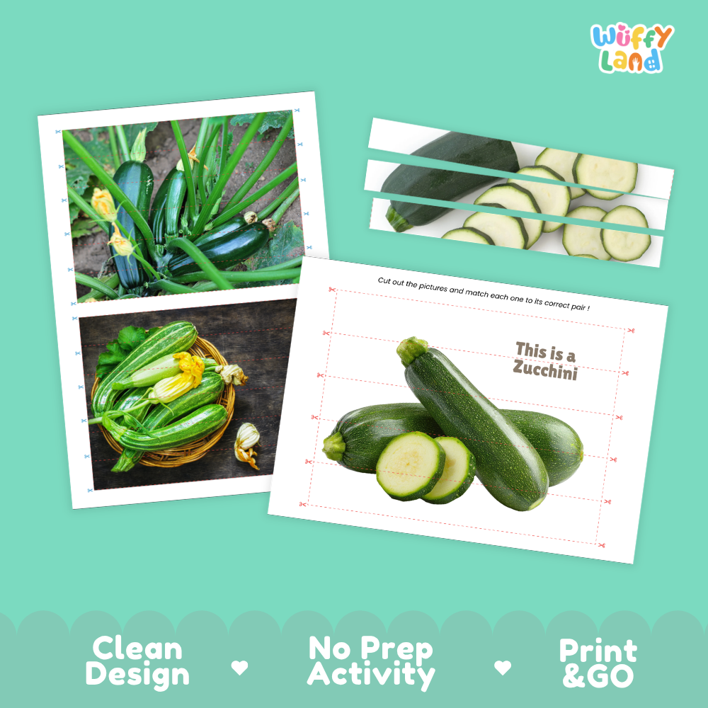 Clean design no prep print and go zucchini cut and match activity printable PDF pack