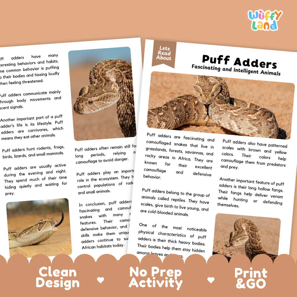 Puff Adder Reading Passage and Comprehension Questions Worksheets
