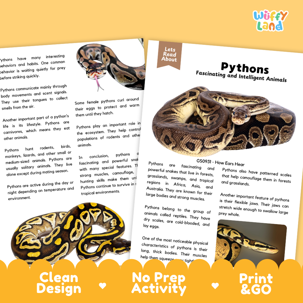 Two printed educational activity sheets about pythons, shown on a white background with decorative green leaves and colorful badges reading 'Clean Design,' 'No Prep Activity,' and 'Print & Go.' The sheets contain text and small animal illustrations, including a black-and-white python close-up and a python in a forest scene.