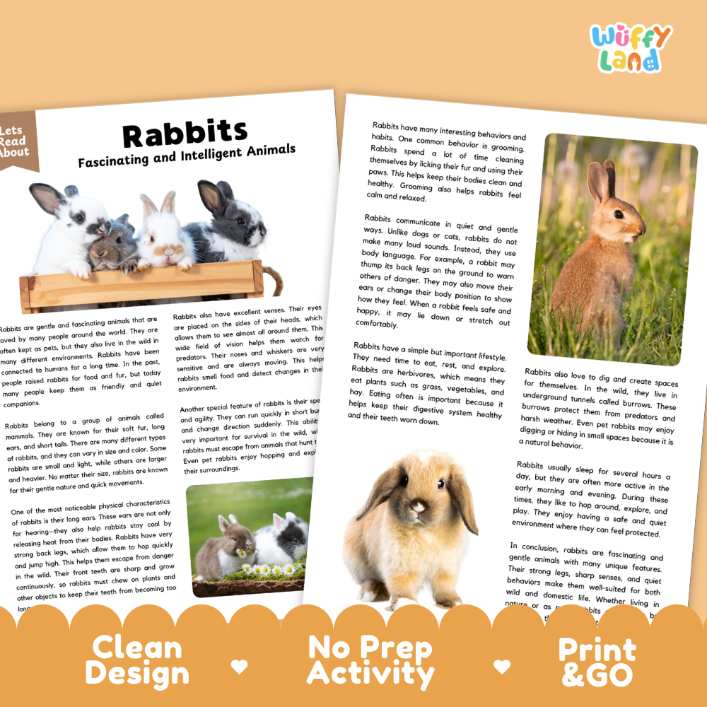 Rabbits Reading Passage and Comprehension Questions Worksheets with Answer Key