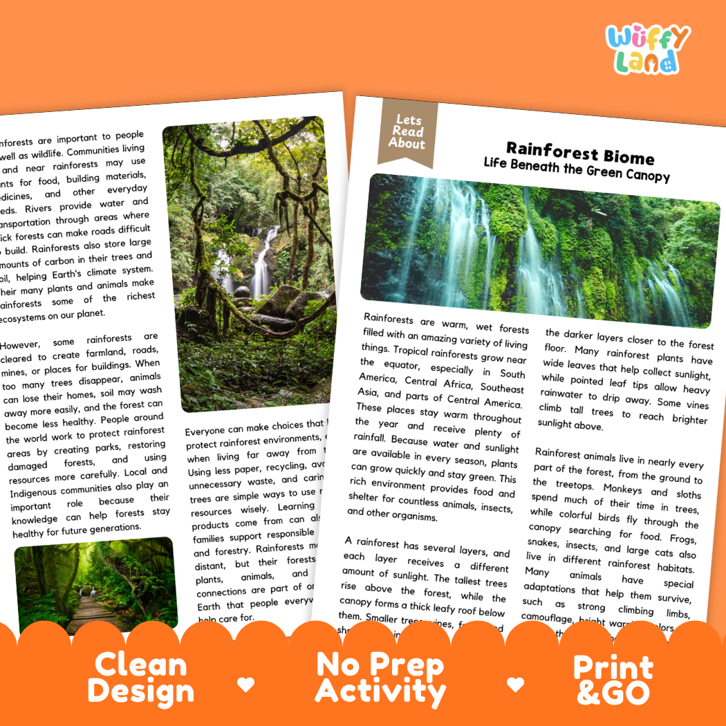 Teacher answer key page showing complete question solutions for Rainforest Biome Earth science and biology reading comprehension practice