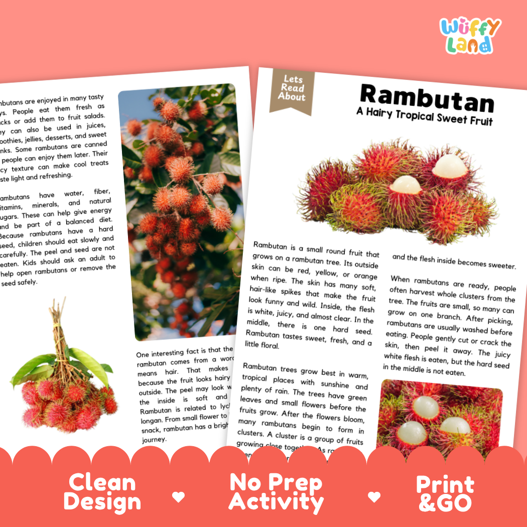 Teacher answer key page showing complete question solutions for Rambutan nature and science reading comprehension practice