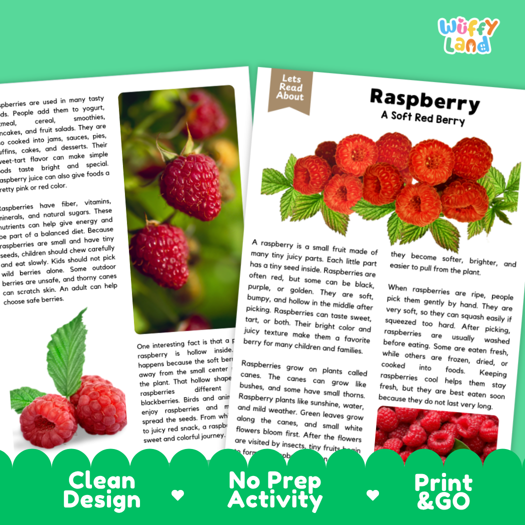 Teacher answer key page showing complete question solutions for raspberry reading comprehension practice