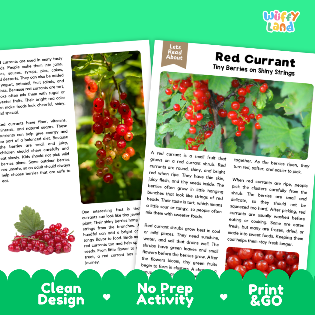 Teacher answer key page showing complete question solutions for red currant reading comprehension practice