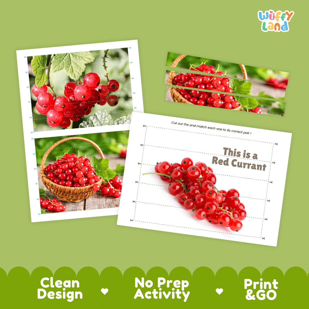 Red Currant Cut and Match Activity Worksheets | Nuts and Dried Fruits Puzzle Printables