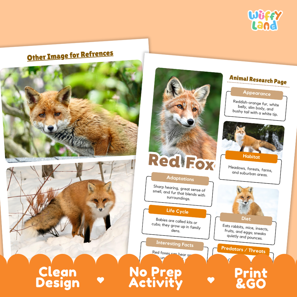 Red Fox Animal Research Project Printable Informational Writing Worksheets