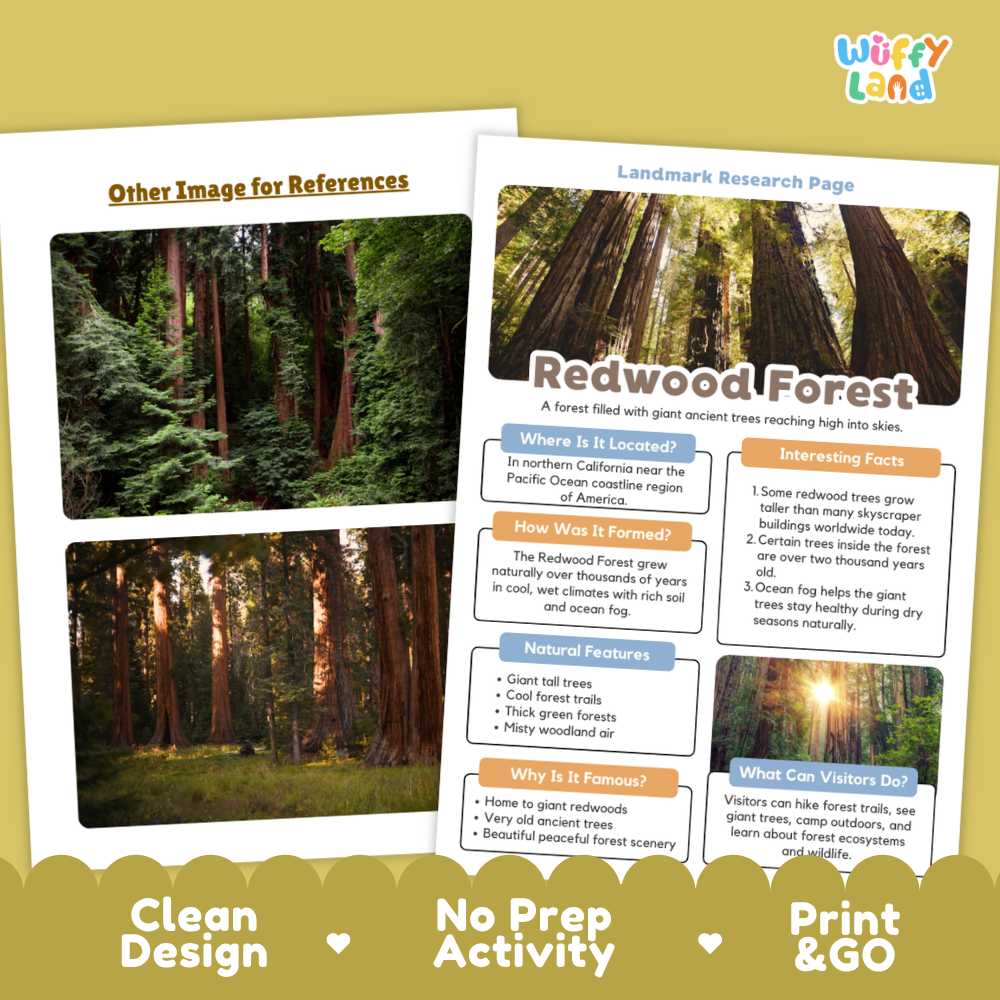 An educational poster about the Redwood Forest displayed on a light wood background with a decorative green border. The poster features a large photograph of redwood trees on the left and informational text boxes on the right.