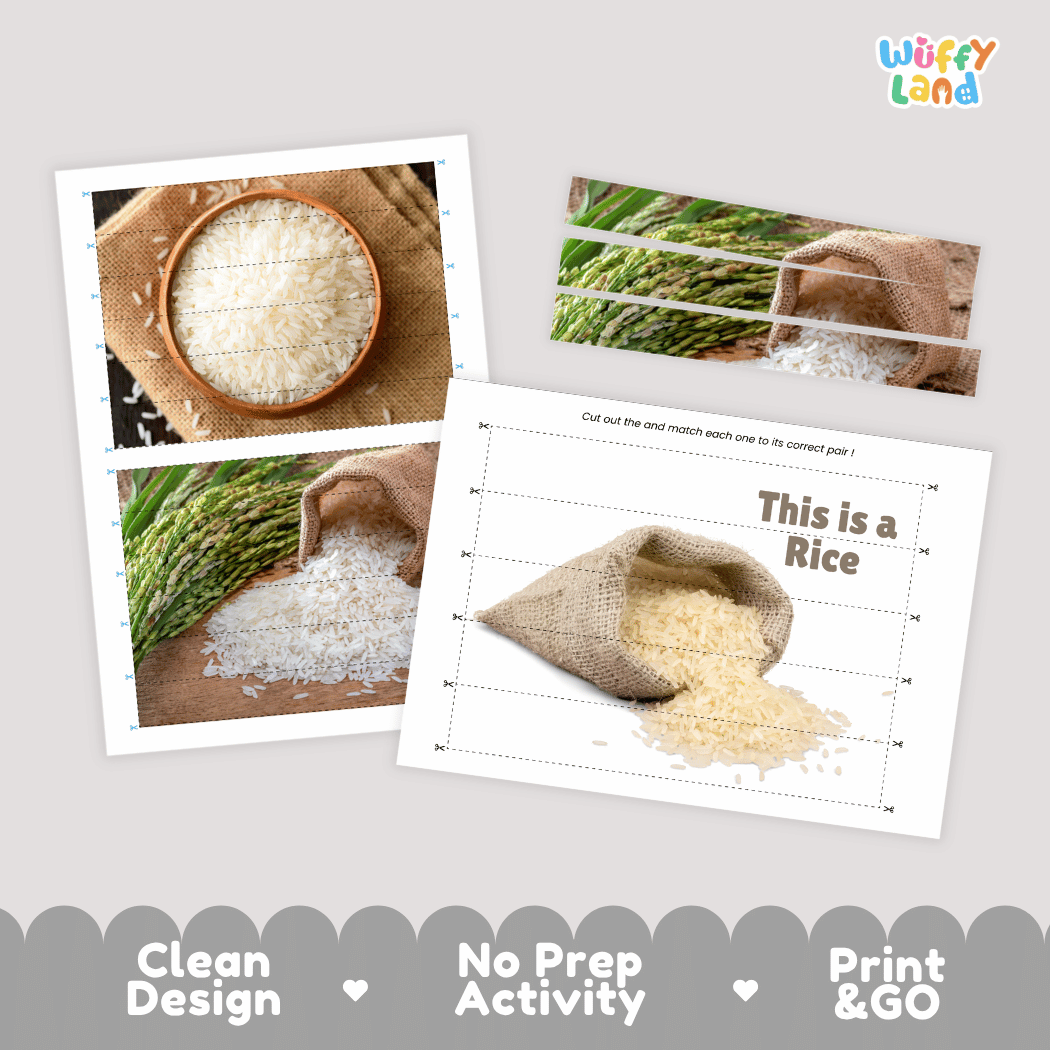 Rice Cut and Match Activity Worksheets | Nuts and Dried Fruits Puzzle Printables