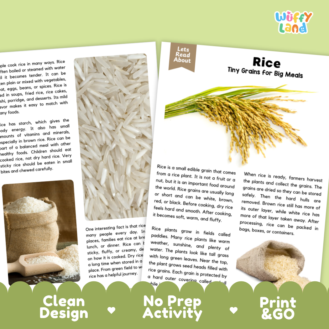 Rice Reading Passage and Comprehension Questions Worksheets with Answer Key