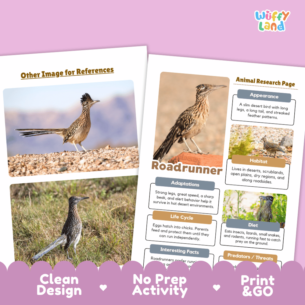 Roadrunner Animal Research Worksheets and Informational Fact Sheets