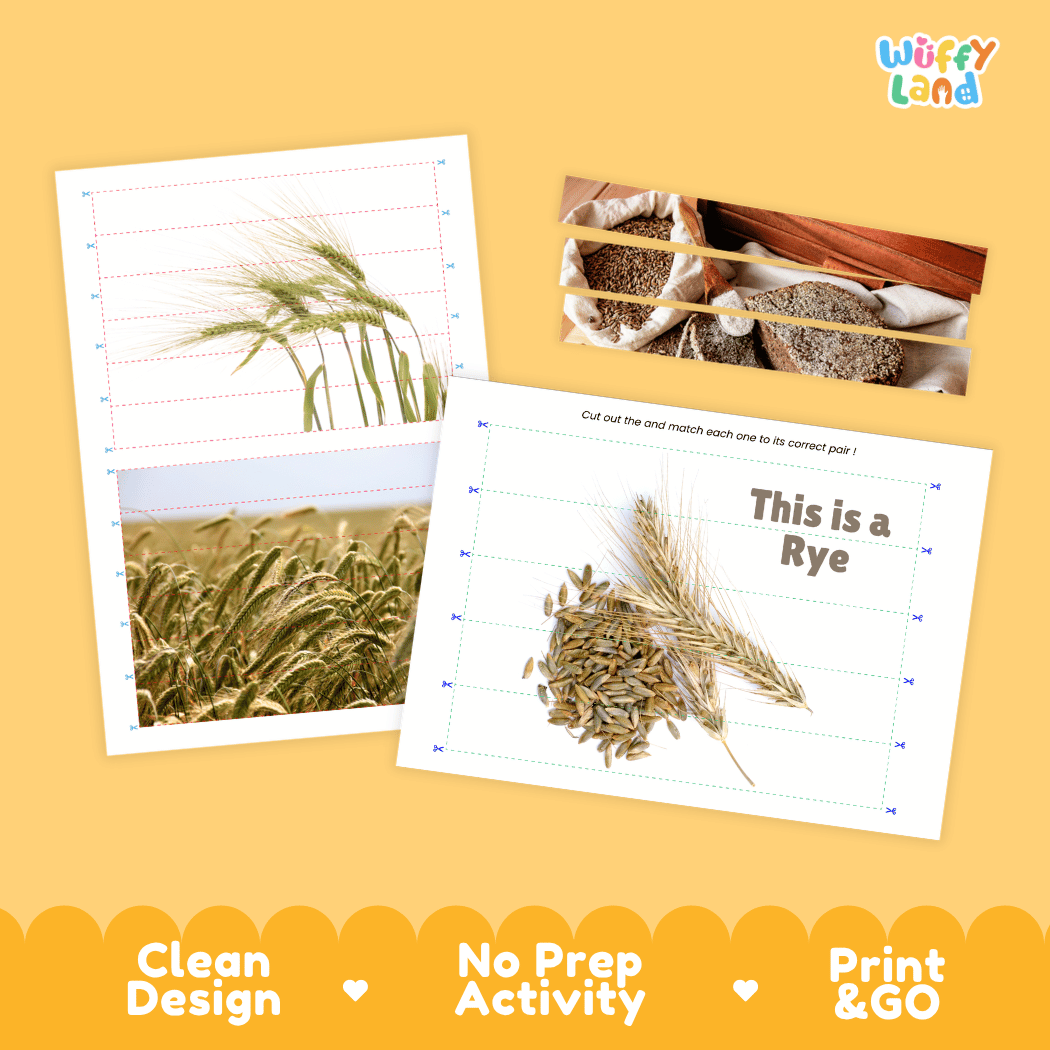 Rye Cut and Match Activity Worksheets | Nuts and Dried Fruits Puzzle Printables