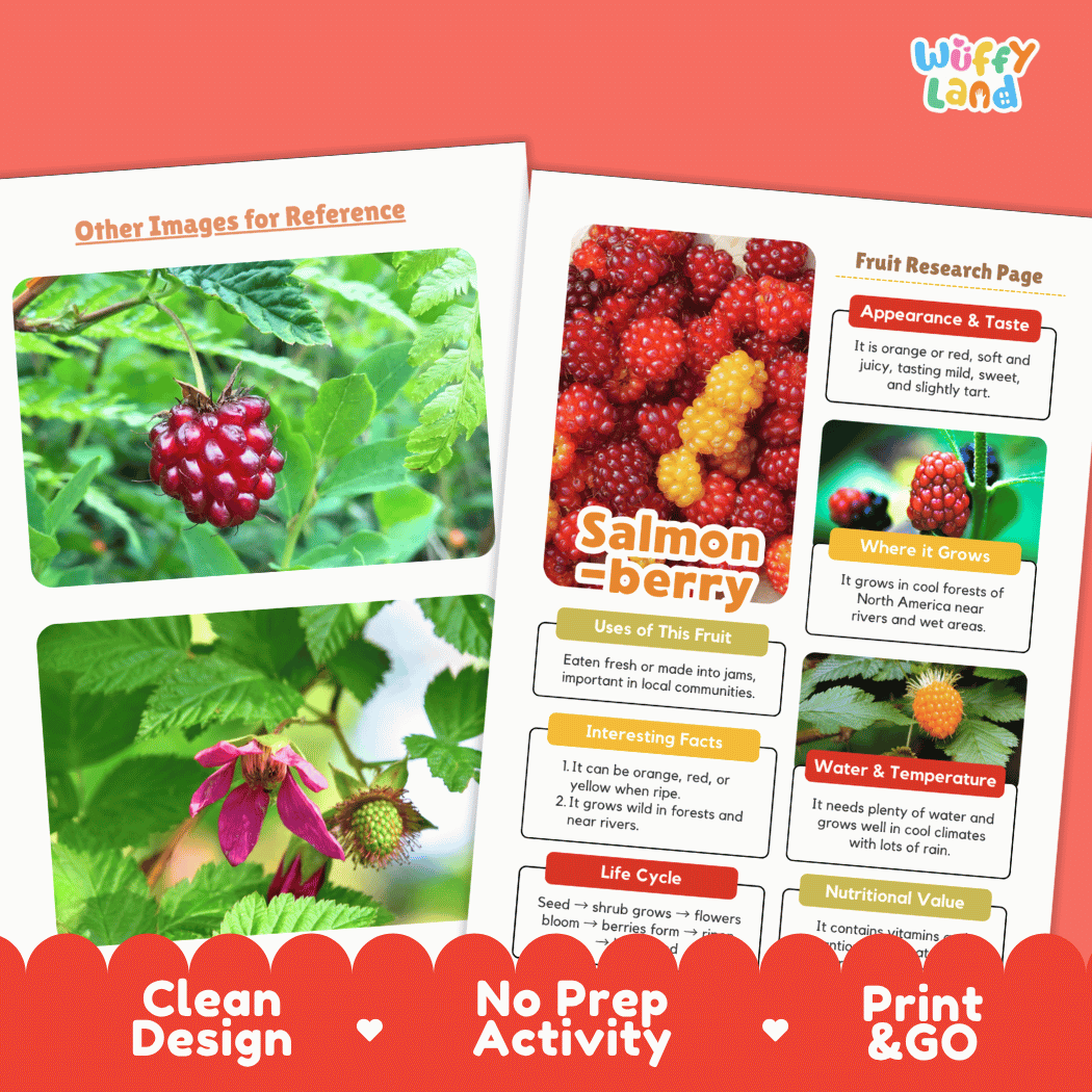 Salmonberry Fruit Research Page Worksheets and Fact Sheet