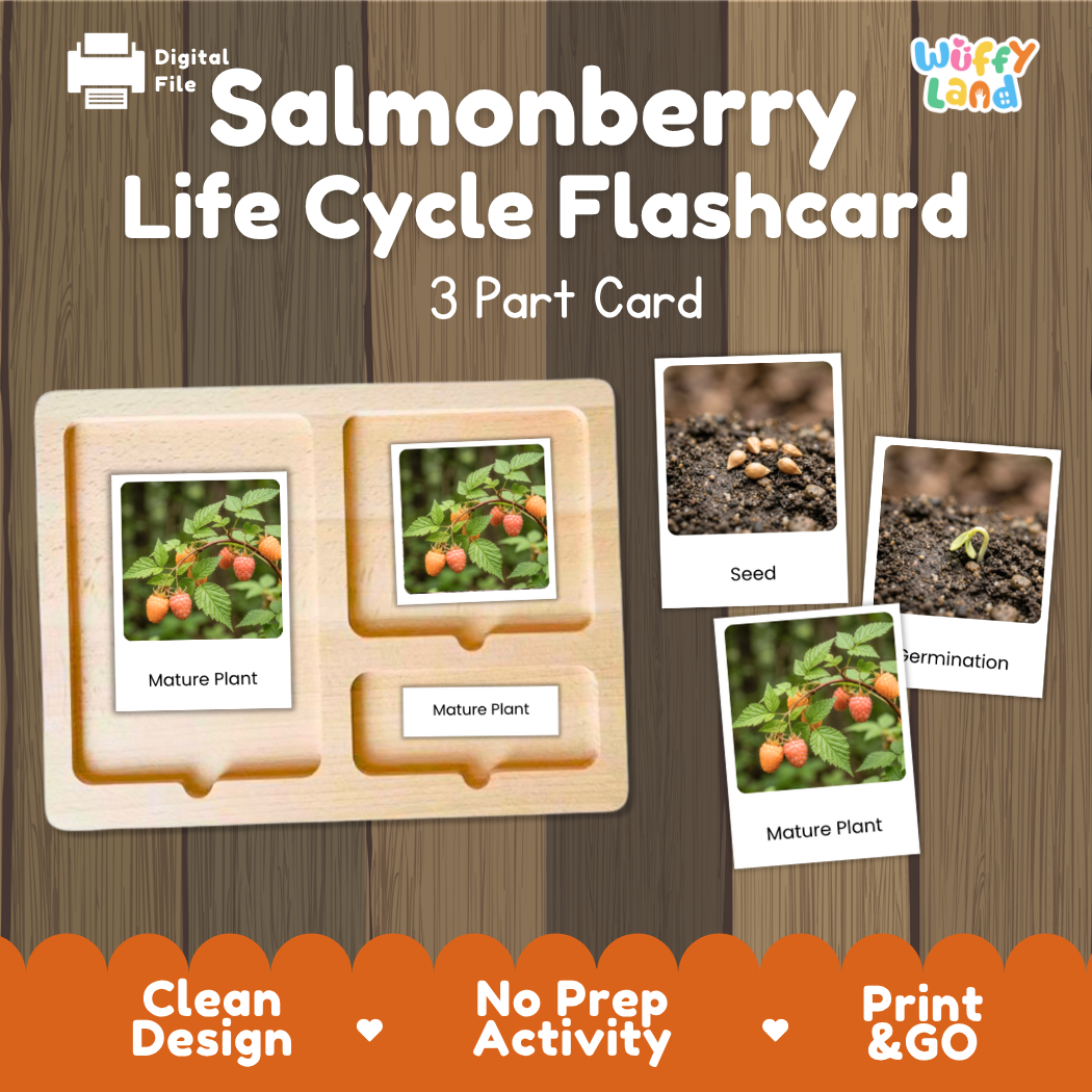 Montessori three-part cards featuring real photographs of salmonberry shrub growth stages including mature plant, young plant, and germination 🗂️🏷️
