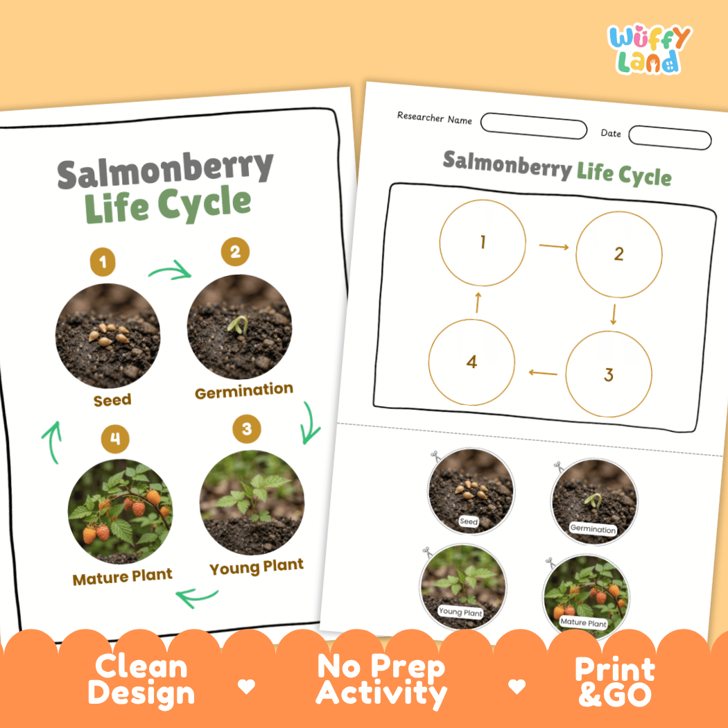 Salmonberry Life Cycle Poster and Cut and Paste Worksheet Activity