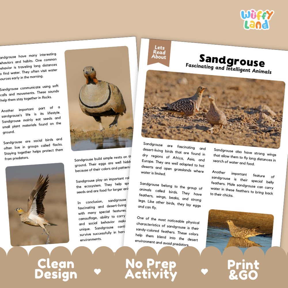 Sandgrouse Reading Passage and Comprehension Questions with Answer Key