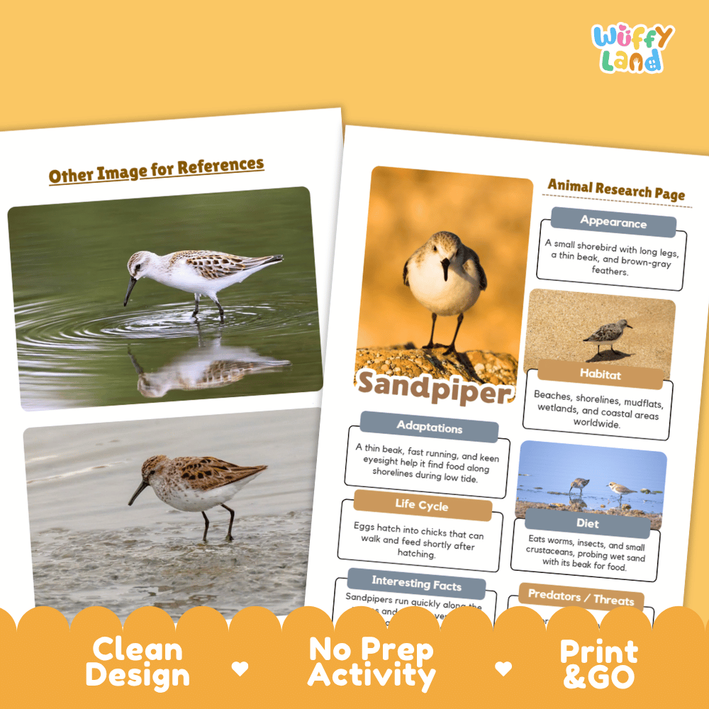 Sandpiper Animal Research Worksheets and Informational Fact Sheets