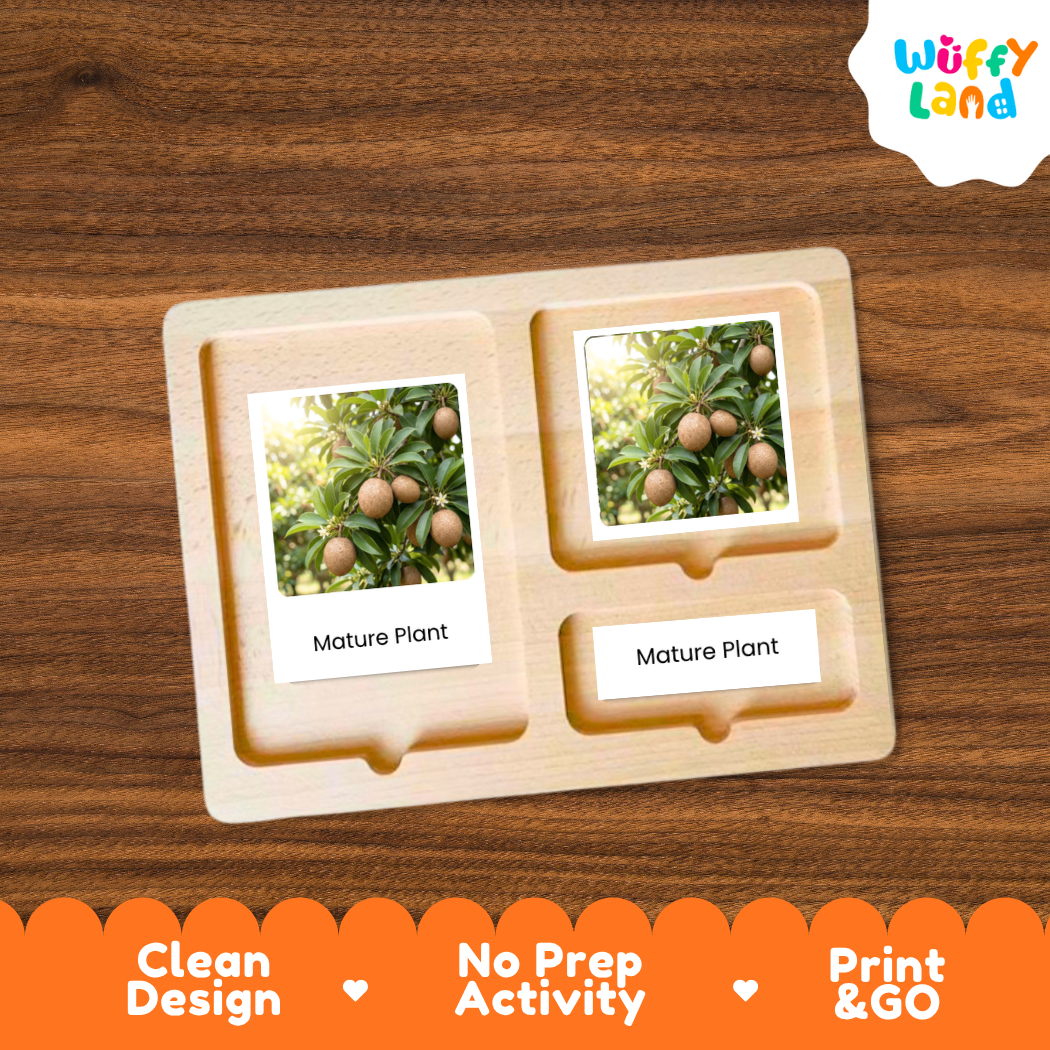 A wooden Montessori-style activity tray with two labeled slots reading 'Mature Plant,' shown on a brown wood surface. The tray contains small printed photos of fruiting plants.