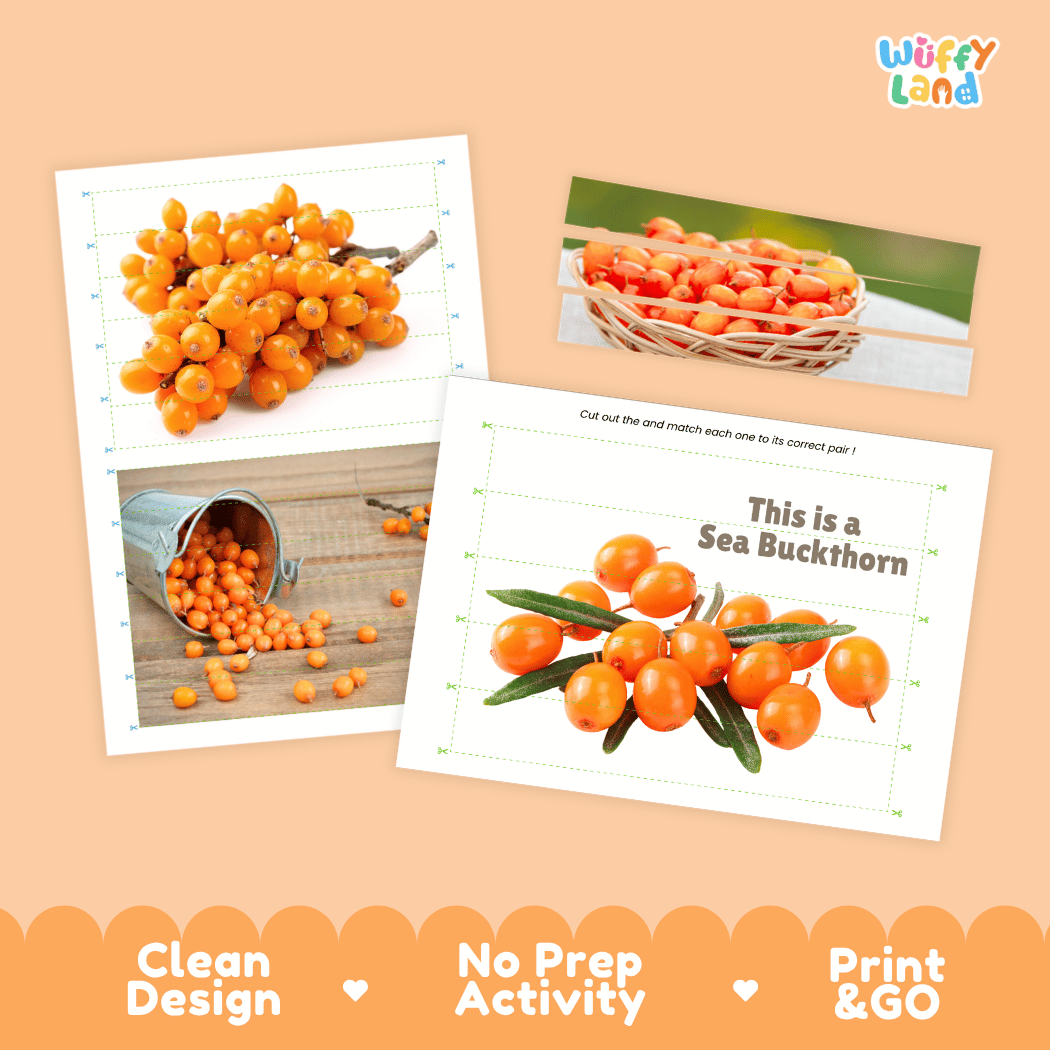 Sea Buckthorn Cut and Match Activity Worksheets | Nuts and Dried Fruits Puzzle Printables