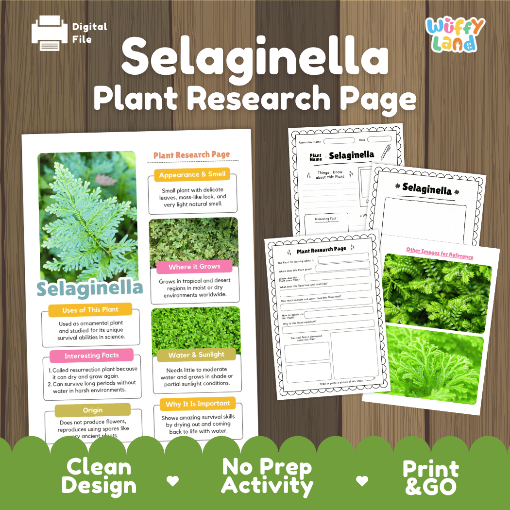 Student plant research page writing worksheets with real close up delicate Selaginella moss-like leaves, lined note-taking prompts, and drawing frames