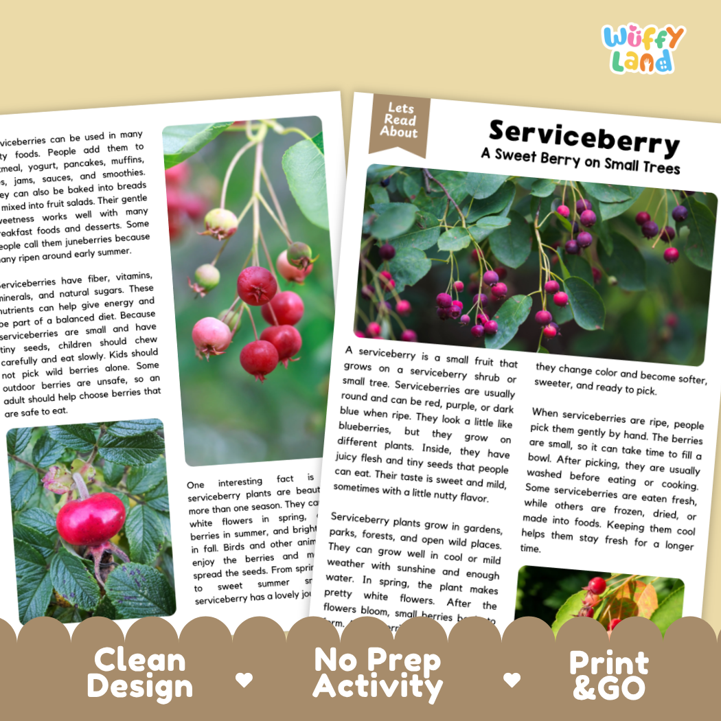 Teacher answer key page showing complete question solutions for serviceberry reading comprehension practice