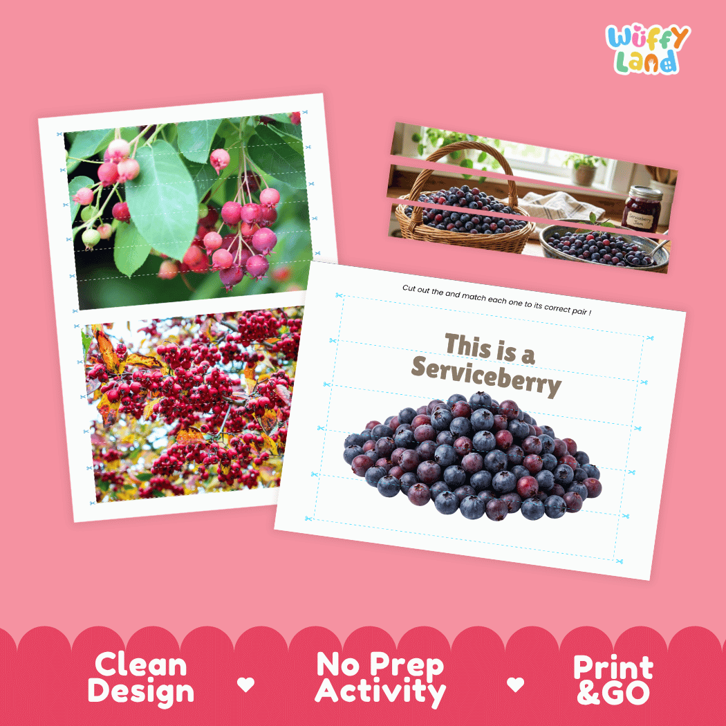 Serviceberry Cut and Match Activity Worksheets | Nuts and Dried Fruits Puzzle Printables