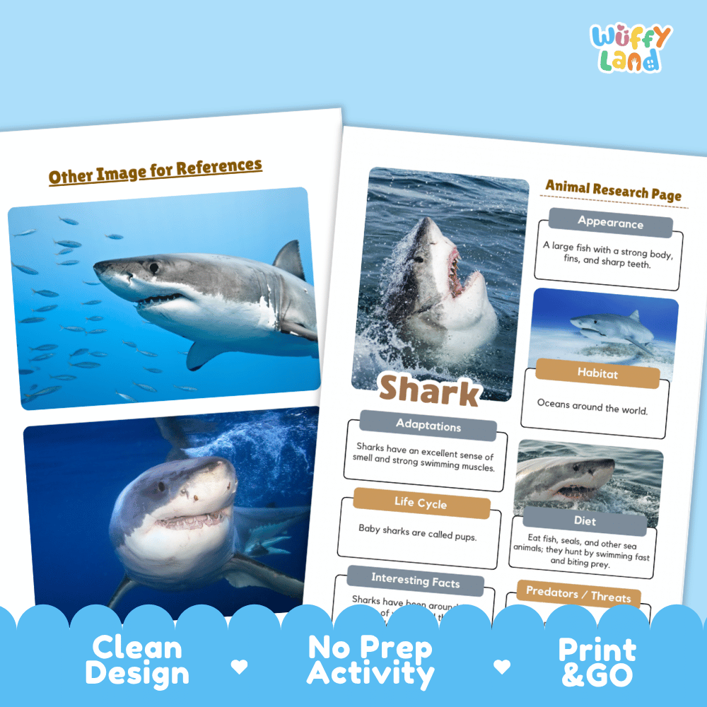Shark Animal Research Page Worksheets and Fact Sheet Activity