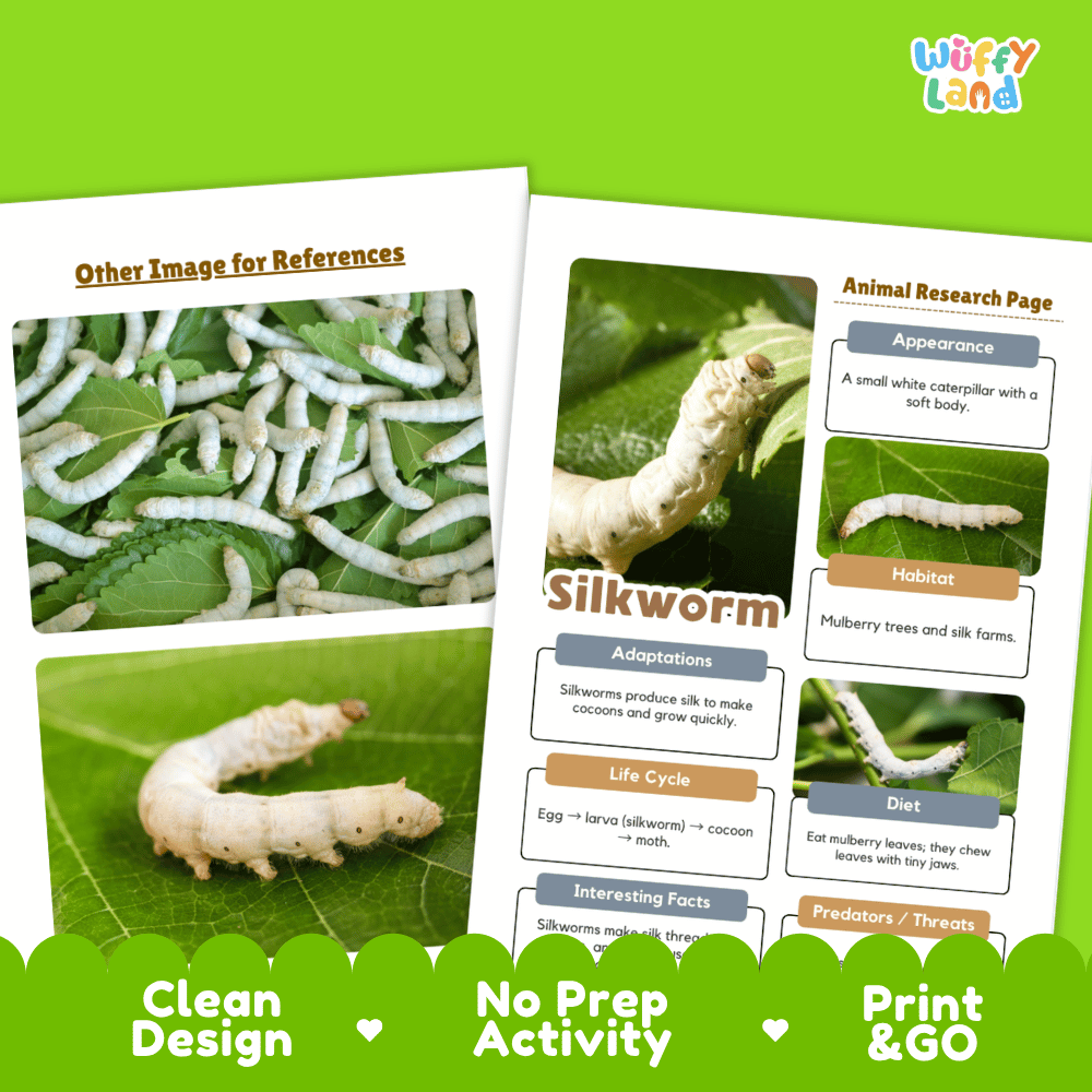 Silkworm Animal Research Page Worksheets and Fact Sheet Activity