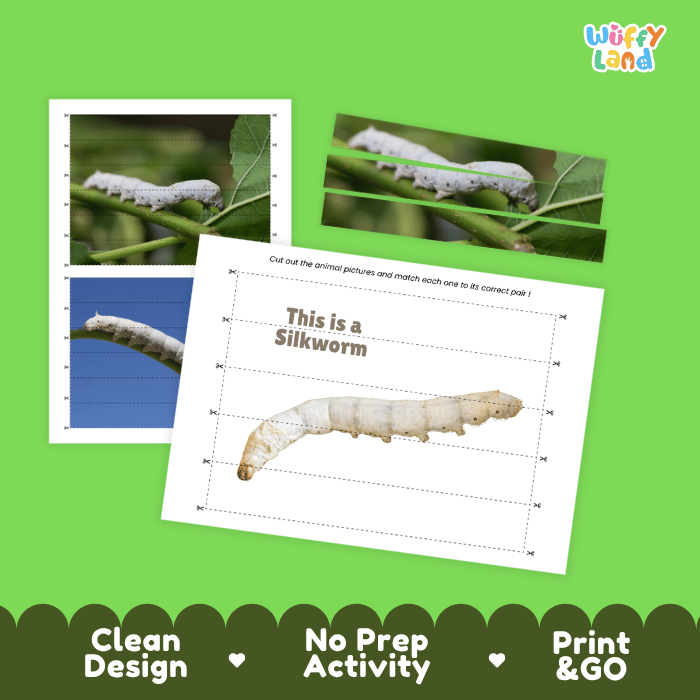 Silkworm Cut and Match Activity Printables Worksheets