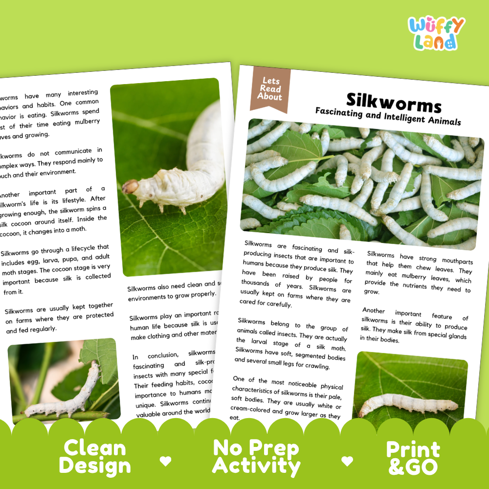 Silkworms Reading Passage and Comprehension Questions with Answer Key