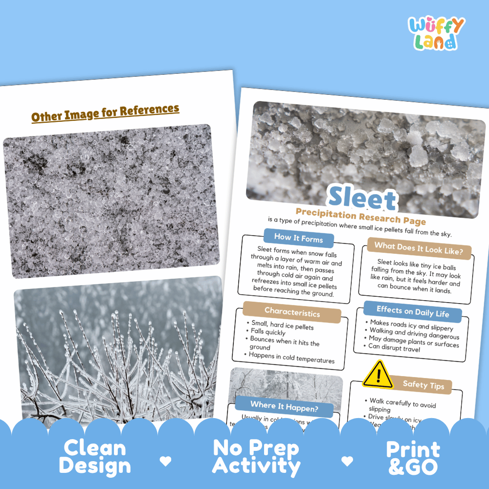 Sleet Precipitation Research Page Worksheets Weather Science Activity