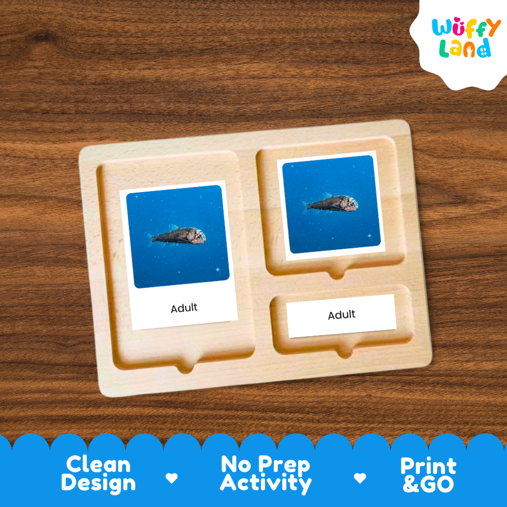 A wooden Montessori-style activity tray with two blue cards labeled 'Adult' and a third card slot below, shown on a wood-grain background. The brand logo 'Wuffy Land' appears in the top right, and a blue banner at the bottom reads 'Clean Design', 'No Prep Activity', and 'Print & GO'.