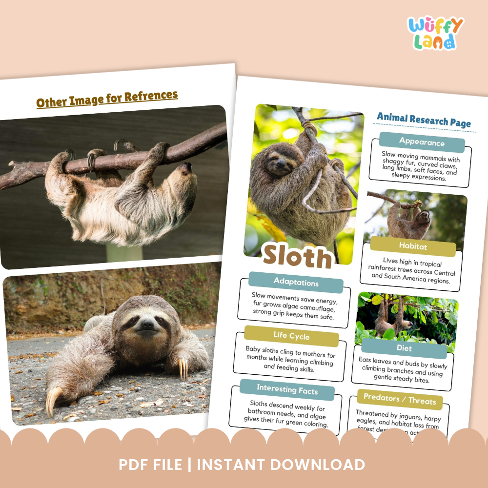 Sloth Animal Research Page Printable Worksheets for Early Elementary