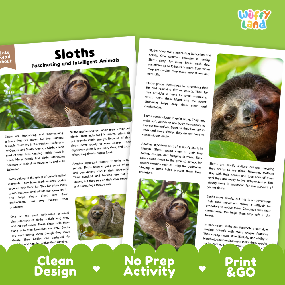 Sloths Reading Passage and Comprehension Questions Worksheets