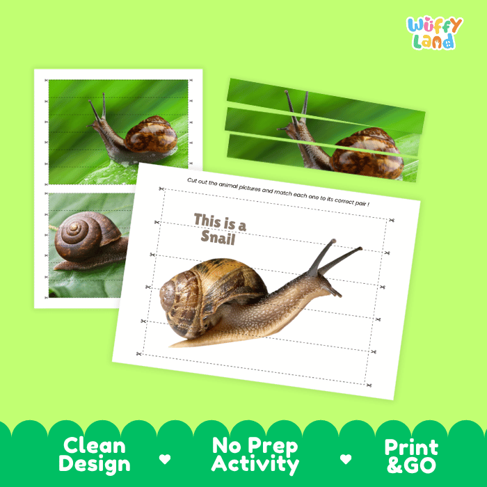 Snail Cut and Match Activity Printables Worksheets