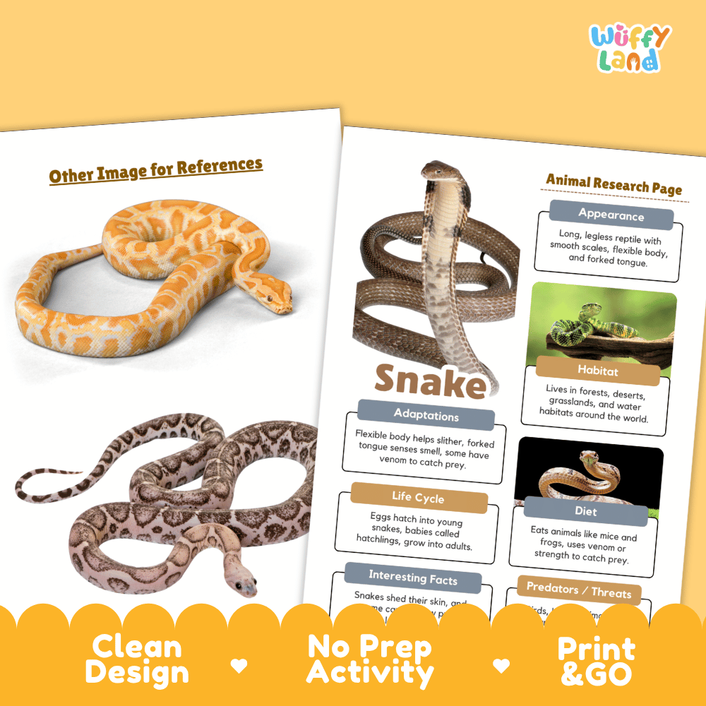 Snake Animal Research Page Worksheets and Fact Sheet