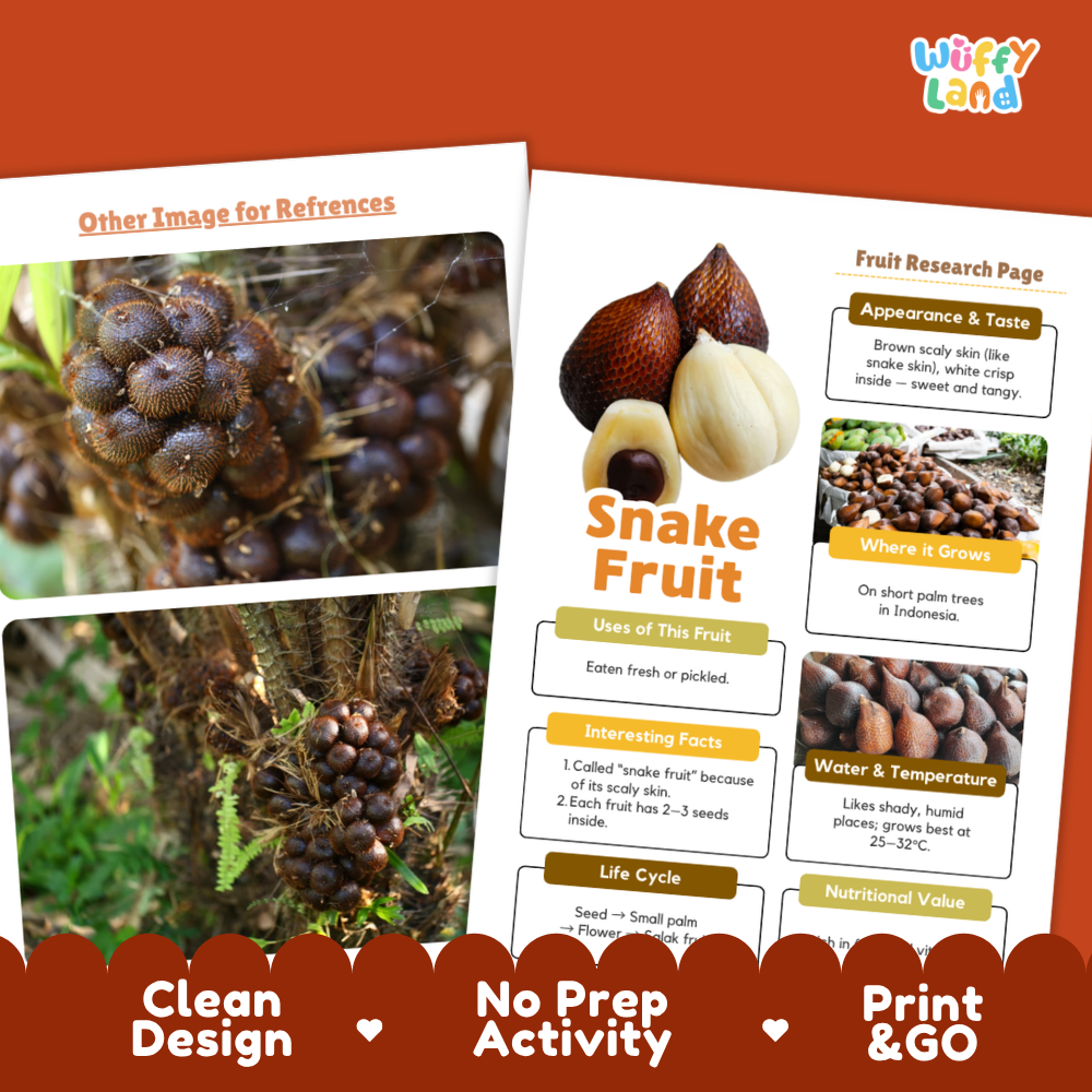 A product listing graphic for an educational 'Snake Fruit' activity sheet from the brand 'Wiffly Land'. The image shows two printed pages: one featuring a close-up photograph of a snake fruit, and the other displaying a labeled fruit research page with facts.
