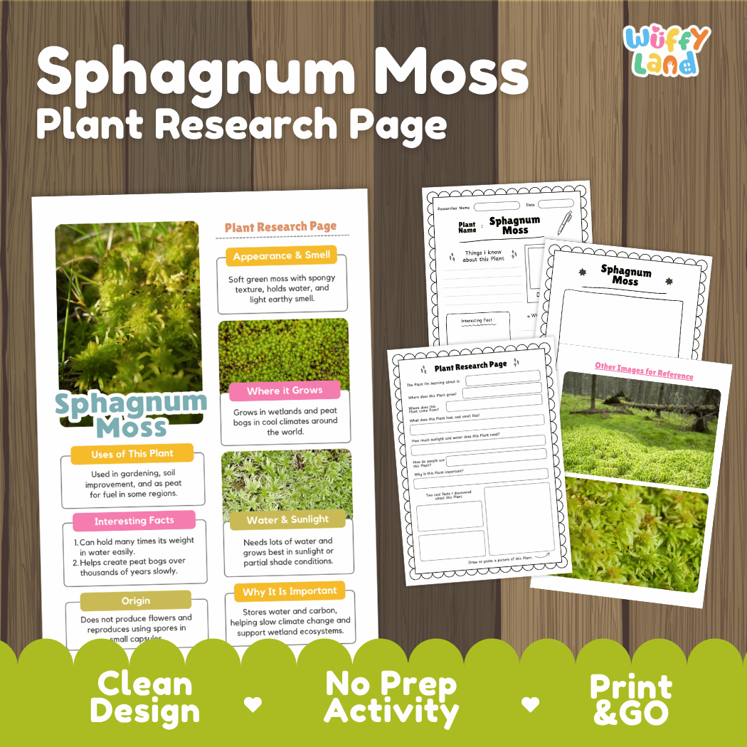 Student plant research page writing worksheets with real close up spongy Sphagnum moss cushions and peat bog landscape photos, lined note-taking prompts, and drawing frames