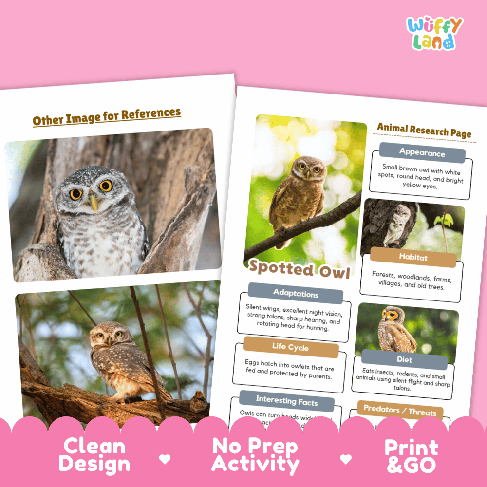 Spotted Owl Animal Research Worksheets and Informational Fact Sheets