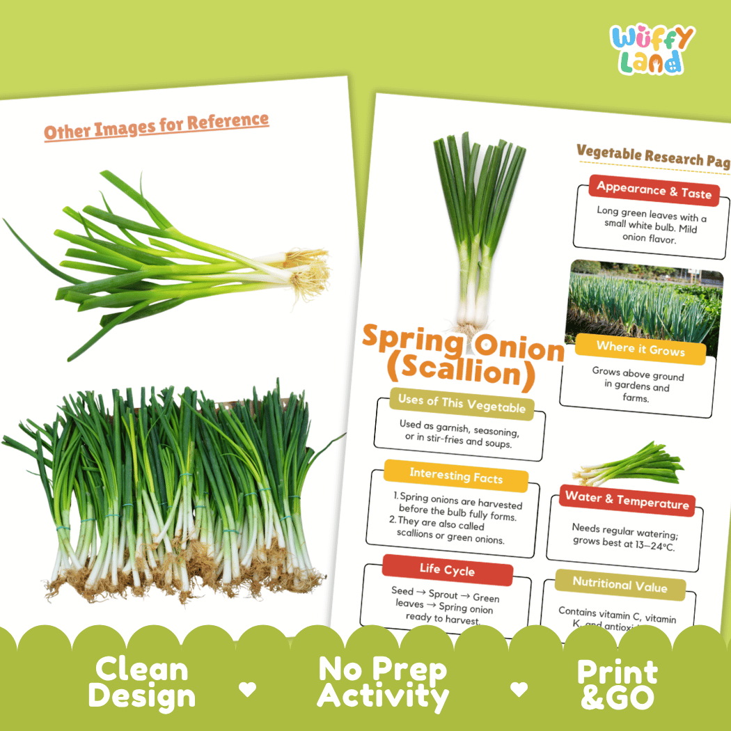 Spring Onion Scallion Vegetable Research Page Worksheets