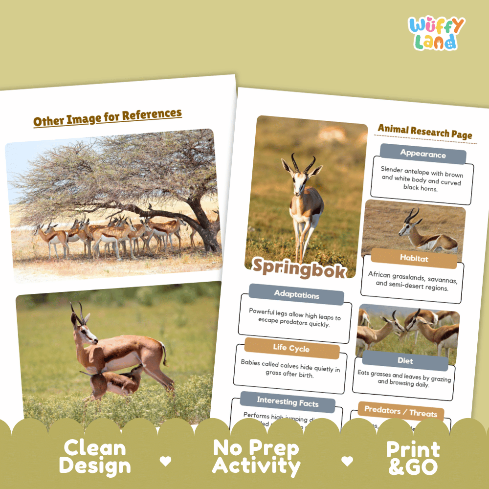 Springbok Animal Research Worksheets and Informational Fact Sheets
