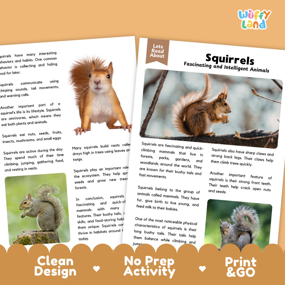 Two educational activity sheets from 'Wiffly Land' titled 'Squirrels Fascinating and Intelligent Animals' are displayed on a white background with a decorative orange and white banner at the bottom reading 'Clean Design', 'No Prep Activity', and 'Print & Go'. The sheets feature colorful illustrations of squirrels and text about their habits and characteristics.