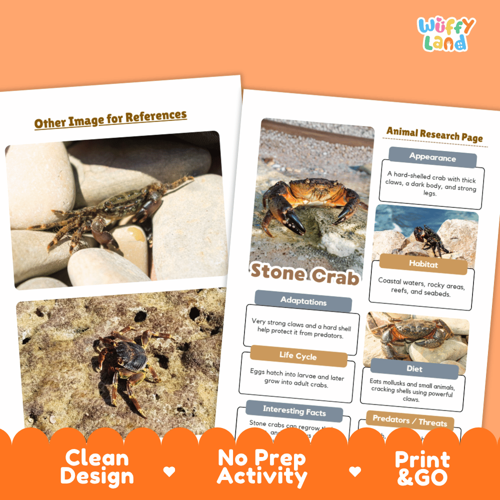 Stone Crab Animal Research Worksheets and Informational Fact Sheets